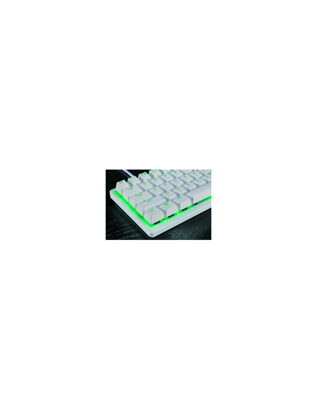 Razer RZ03-04970100-R3M1 teclado Juego USB QWERTY Inglés internacional Blanco