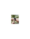 Honor InfoWear Watch 2i 4,7 cm (1.85") AMOLED 49.7 mm Digital 390 x 450 Pixeles Pantalla táctil Negro