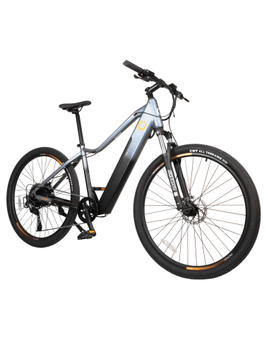 Bicicleta el?ctrica Avanti