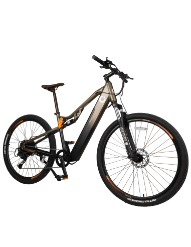 Bicicleta el?ctrica Supreme