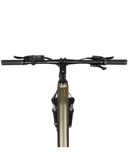 Bicicleta el?ctrica Supreme