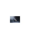 Razer Iskur V2 Butaca para jugar Asiento acolchado Negro