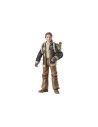Star Wars The Black Series Fern