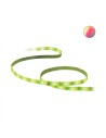 WiZ Kit de inicio de tira LED 2 m