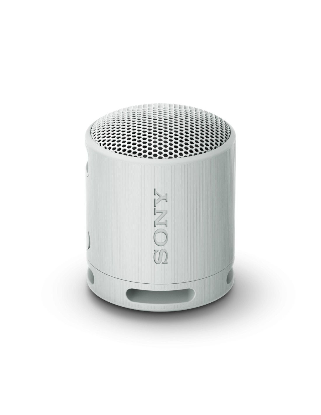 Sony SRS-XB100 Altavoz monofónico portátil Gris