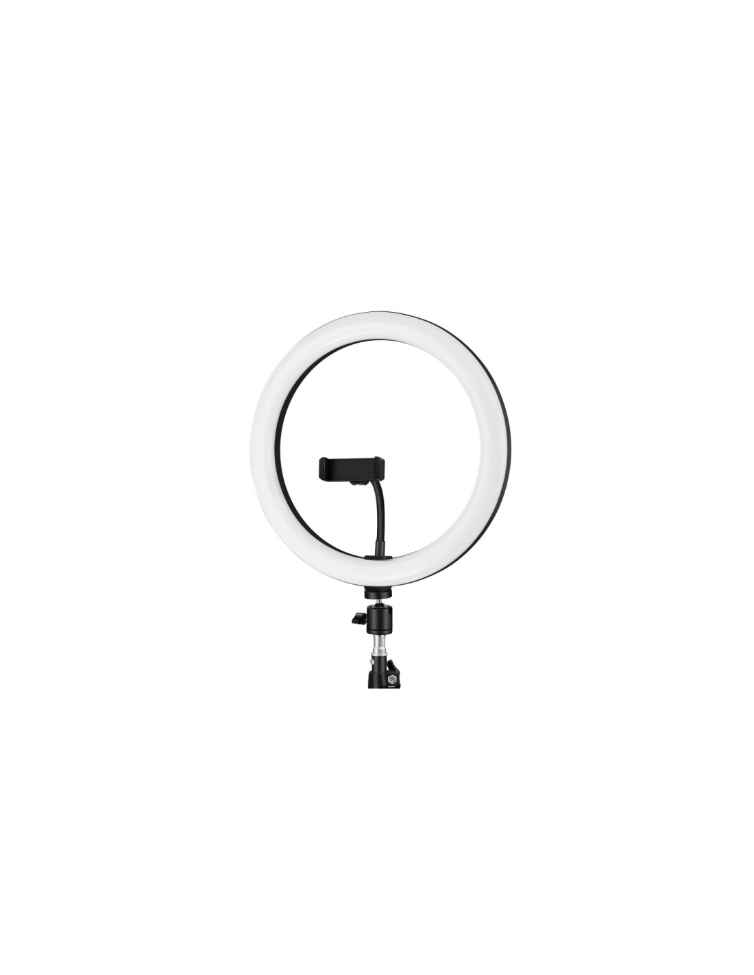 iggual Anillo / aro de luz LED diámetro 10" 26 cm