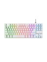 TECLADO TRUST GAMING GXT 833W THADO METALICO USB RGB WHITE