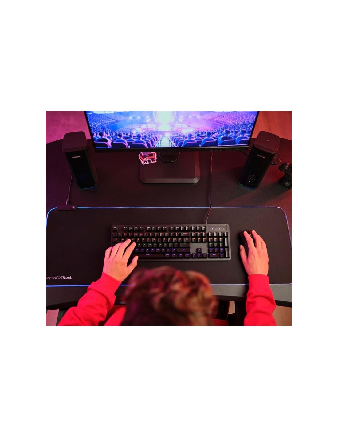 ALTAVOCES TRUST GXT 612 CETIC GAMING RGB 2.0 USB/WIRELESS BLACK