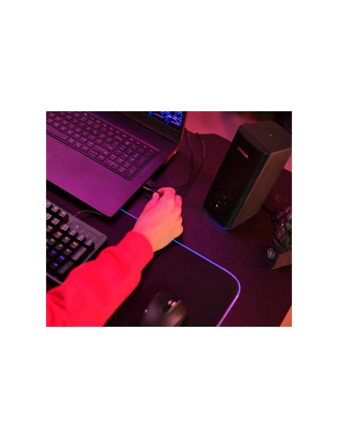 ALTAVOCES TRUST GXT 612 CETIC GAMING RGB 2.0 USB/WIRELESS BLACK