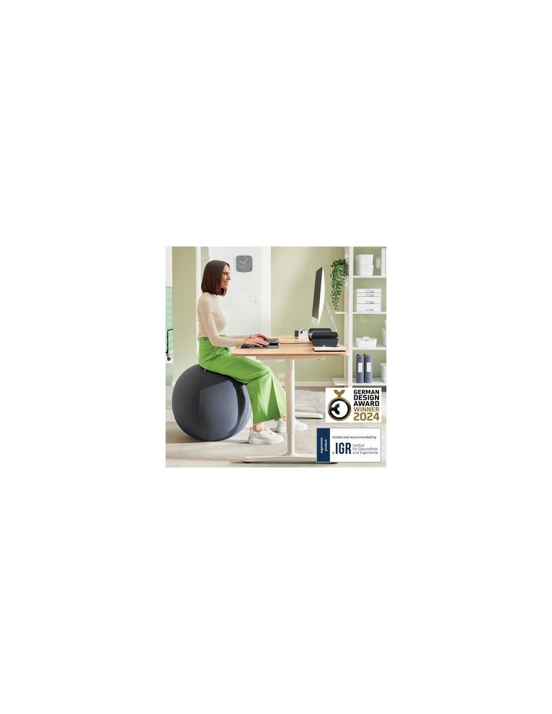 ASIENTO BALON LEITZ ANTIDESLIZANTE ERGO ACTIVE 65CM GREY