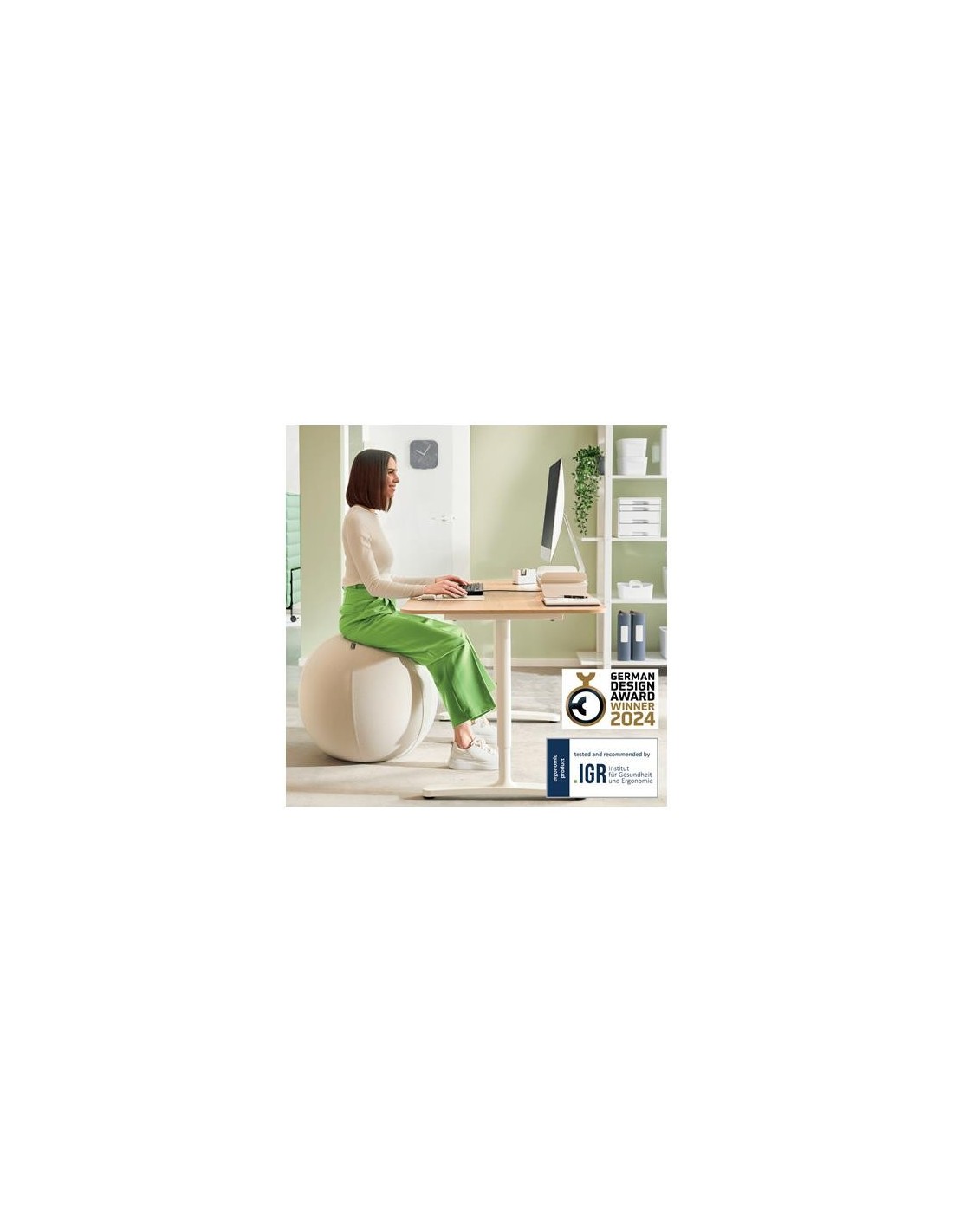 ASIENTO BALON LEITZ ANTIDESLIZANTE ERGO ACTIVE 75CM SILVER