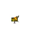 Nilox NXM24REG02 24" Regulable Full HD Monitor