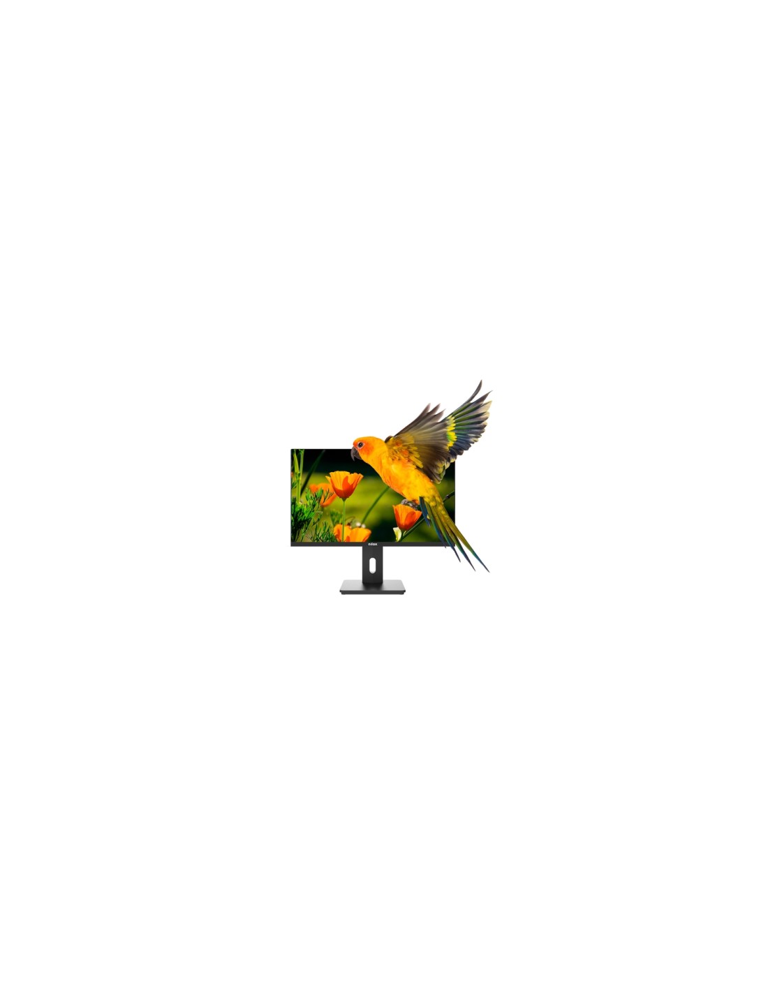 Nilox NXM24REG02 24" Regulable Full HD Monitor