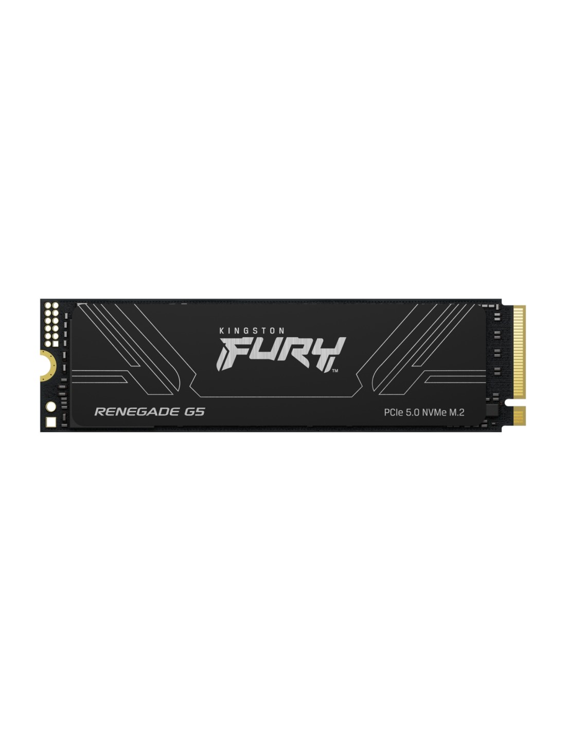 Kingston Technology 2T FURY RENEGADE G5 M.2 2280 NVMe SSD