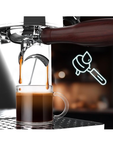 Baristeo Intima