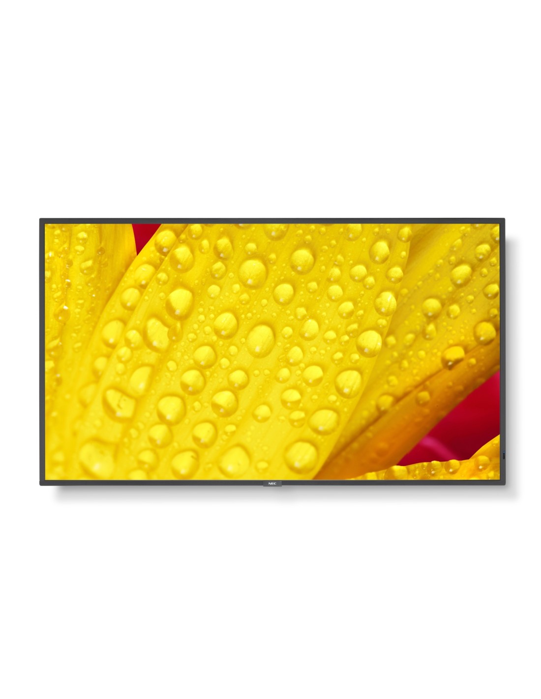 NEC MultiSync M501-2 Diseño de quiosco 127 cm (50") LED 4K Ultra HD Negro Procesador incorporado