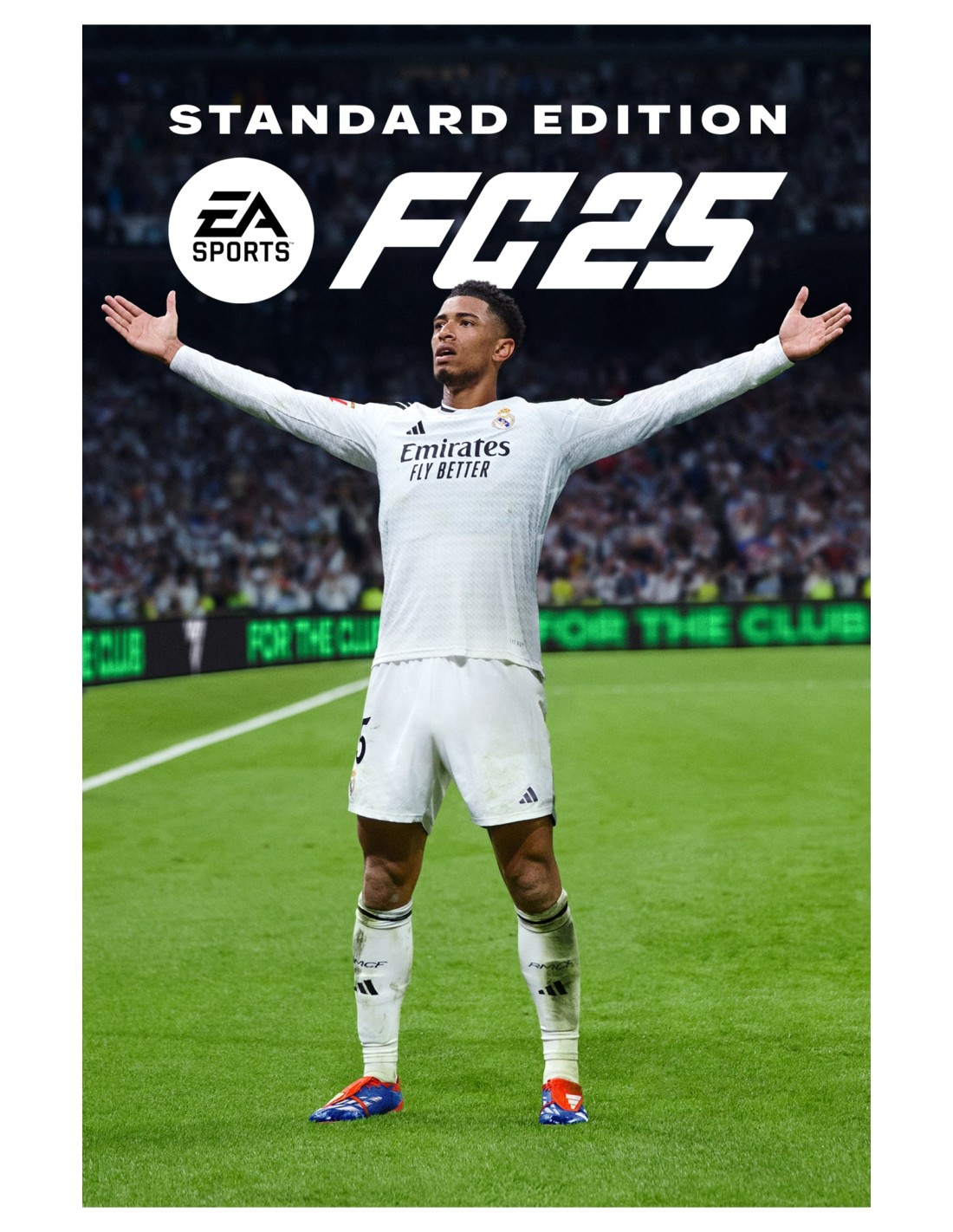 Electronic Arts FC 25 Estándar Árabe, Chino simplificado, Chino tradicional, Checo, Danés, Alemán, Holandés, Inglés, Español, Fi