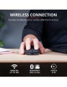 RATON TRUST PUCK RECARGABLE WIRELESS BLUETOOH BLACK