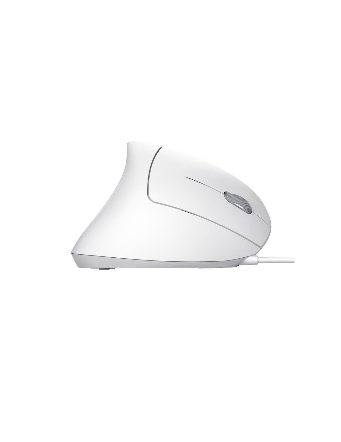 RATON TRUST VERTO USB ERGONOMIC WHITE