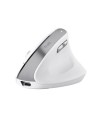 RATON TRUST BAYO II ERGONOMICO ECO 2400 DPI WIRELESS RECARGABLE WHITE