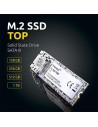 DISCO DURO SSD INTENSO 512GB M.2 2280 SATA