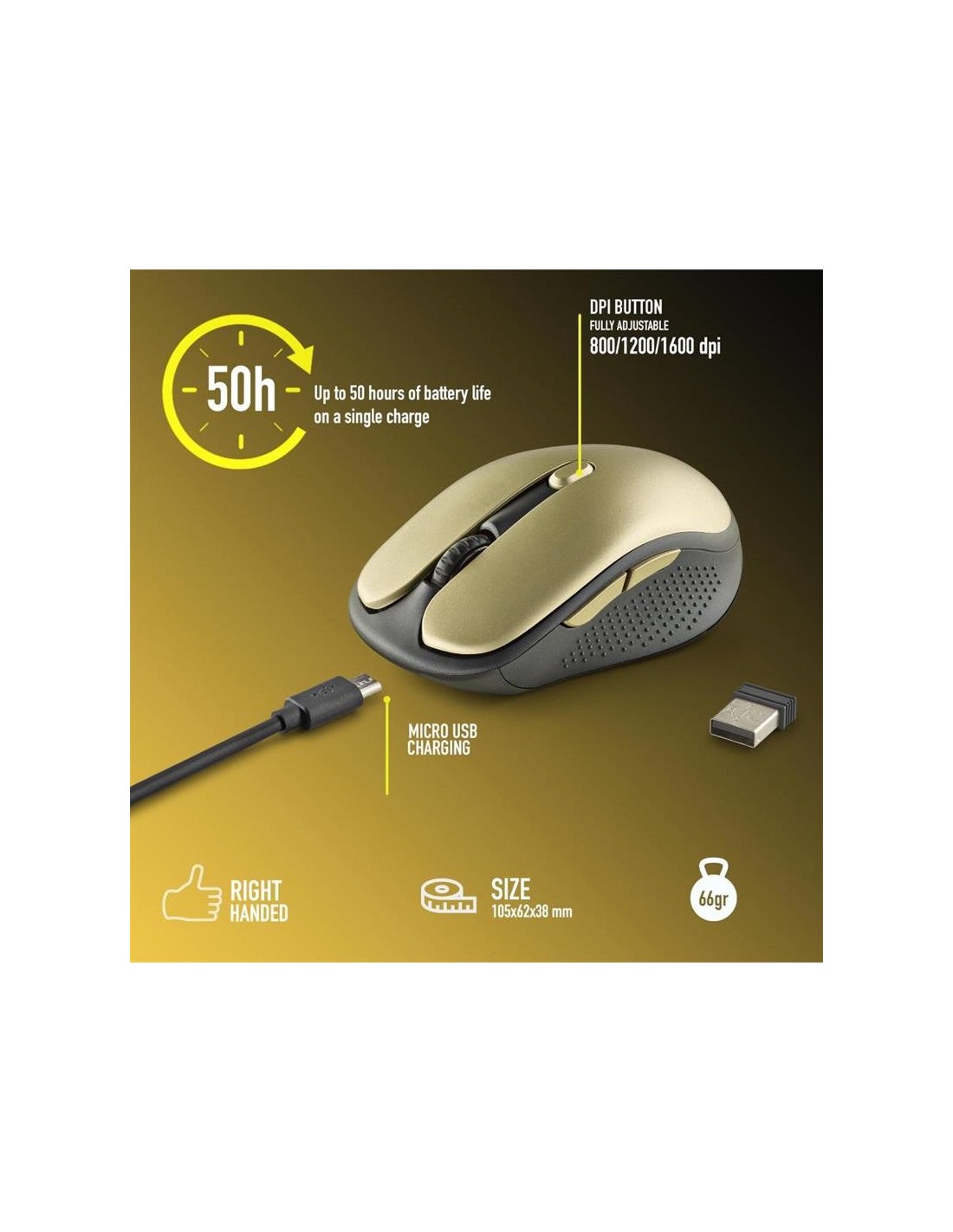 RATON NGS EVO RUST WIRELESS SILENT GOLD