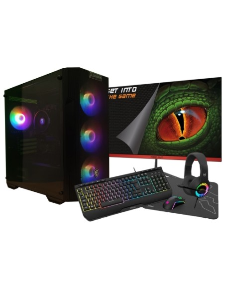 Zone Evil AMD Ryzen 5 4650G/32GB/2 Tb NVMe/Monitor 24