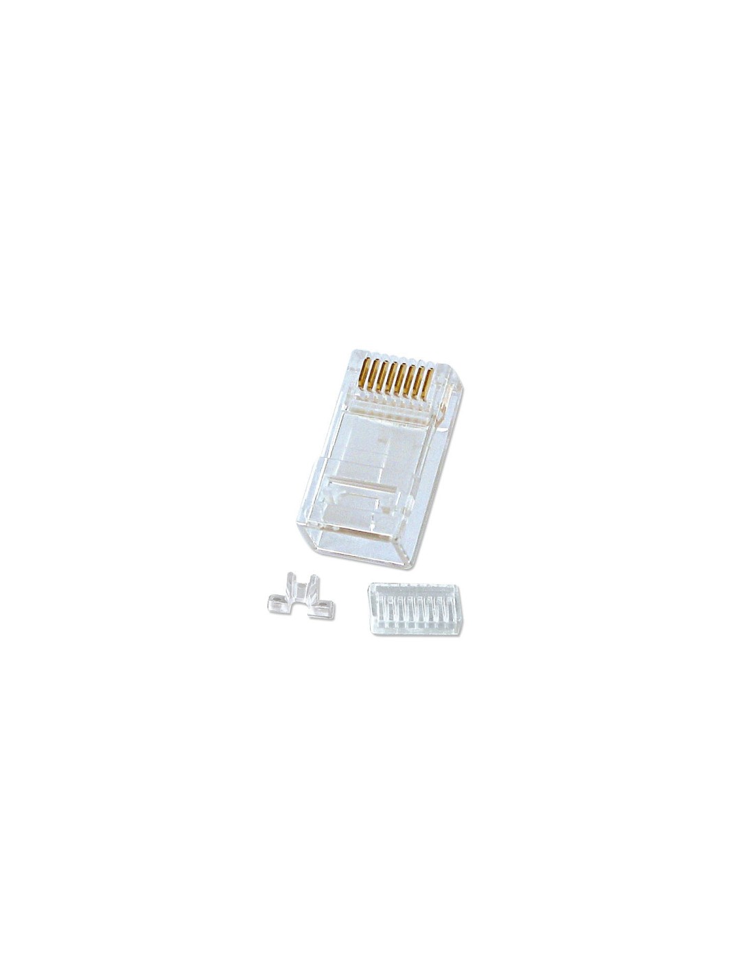 Lindy 62430 conector RJ-45 8-pin cat.6 Transparente