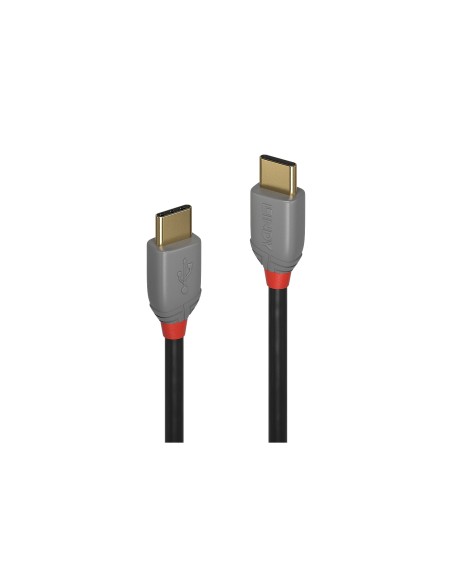 Lindy 36872 cable USB USB 2.0 2 m USB C 0,48 Gbit/s Negro, Gris