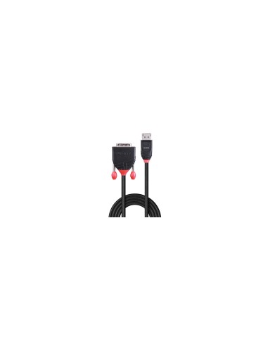 Lindy 41491 adaptador de cable de vídeo 2 m DisplayPort DVI-D Negro