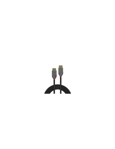 Lindy 36482 cable DisplayPort 2 m Negro
