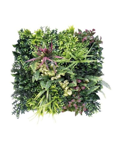 JARDIN VERTICAL 50X50CM SERIE ARBÓREA SUNGARDEN