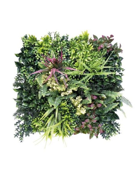 JARDIN VERTICAL 50X50CM SERIE ARBÓREA SUNGARDEN