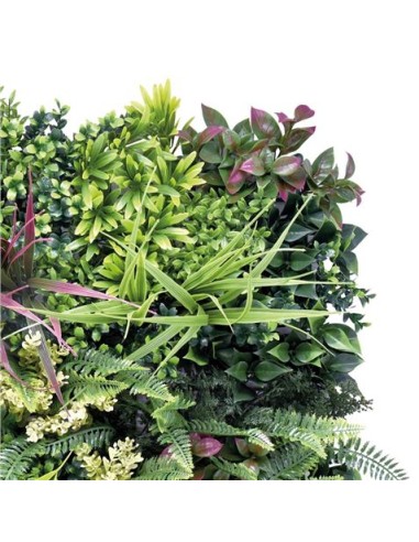 JARDIN VERTICAL 50X50CM SERIE ARBÓREA SUNGARDEN