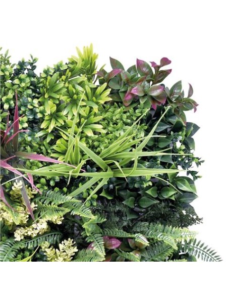 JARDIN VERTICAL 50X50CM SERIE ARBÓREA SUNGARDEN