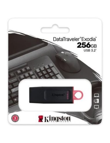 PENDRIVE KINGSTON USB3.2 256GB DATATRAVELER EXODIA