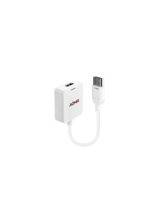 Lindy 38146 adaptador de cable de vÍ­deo HDMI tipo A (Estándar) DisplayPort Blanco