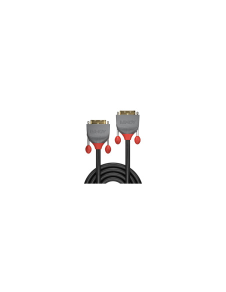Lindy 36221 cable DVI 1 m DVI-D Negro