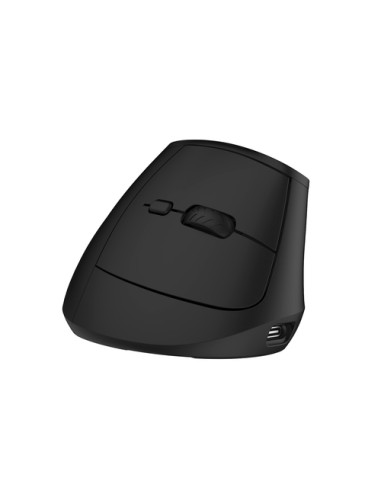 Ewent EW3208 ratón Universal mano derecha RF Wireless + Bluetooth