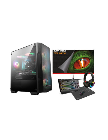 Zone Evil AMD Ryzen 5 4650G/32GB/1 Tb NVMe/Windows 11 Monitor 24