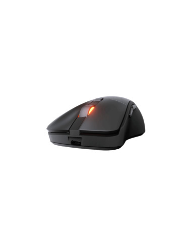 RATON COUGAR SURPASSION RX OPTICAL INALAMBRICO NEGRO 3MSRFWOB.0001