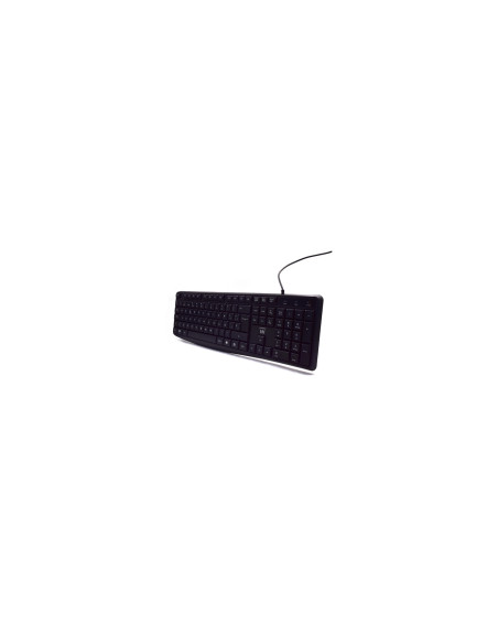 Ewent EW3001 teclado Oficina USB QWERTY Español Negro
