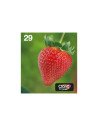 Epson Strawberry Multipack 4-colours 29 EasyMail