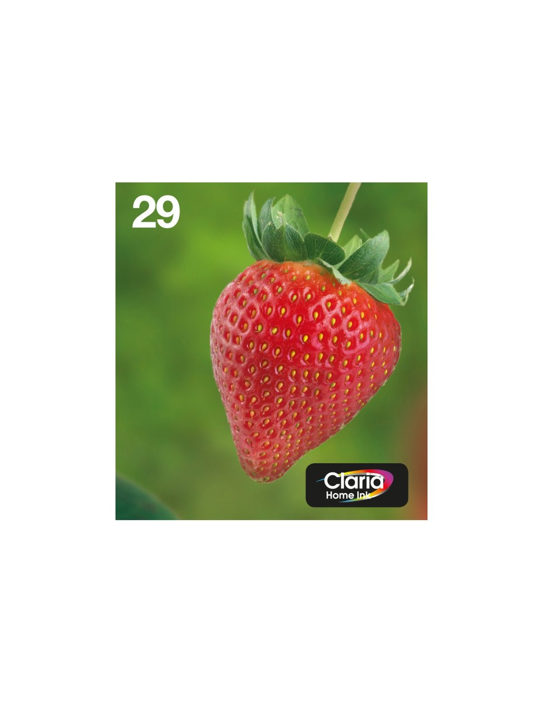 Epson Strawberry Multipack 4-colours 29 EasyMail