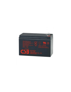 RIELLO BAT 12-7 BATERIA 12V 7Ah GP1272F2