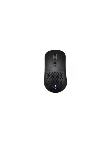 Hiditec GX30 PRO WIRELESS ratón Juego mano derecha RF Wireless +