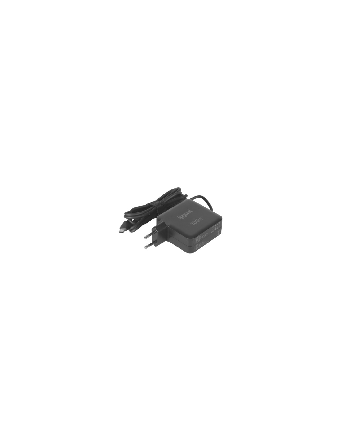 iggual PD 100W Universal Negro Corriente alterna Carga rápida Interior