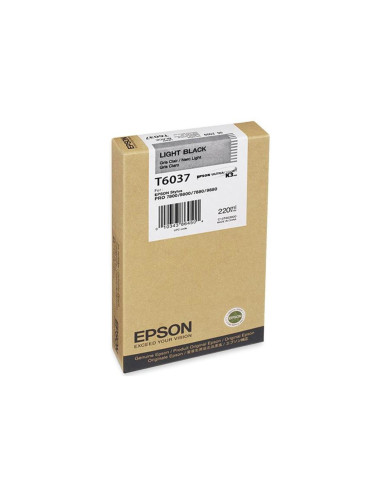 Epson Cartucho T603700 gris