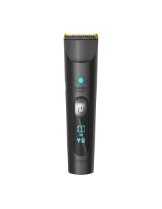 Precisioncare Wet&Dry 2