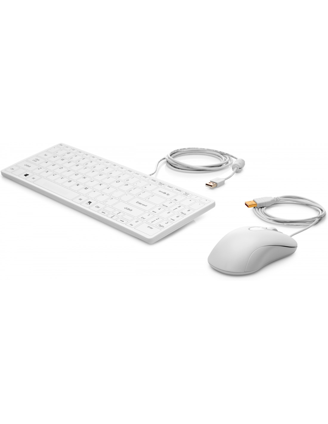 Teclado y raton HP USB Keyboard and Mouse Healthcare Edition 1VD81AAABE